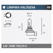 Ampoule Vicma H9 PGJ19-5 Halogène 12V 65W