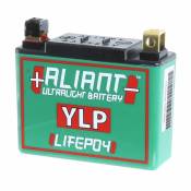Batterie Lithium Aliant YLP05 12V 5Ah