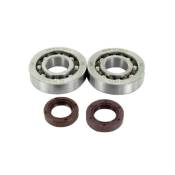Kit roulements joints spy vilebrequin BB1B447205A SKF Piaggio