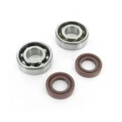 Kit roulements SKF + Joints Spy Derbi Euro 2/3