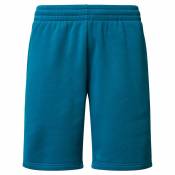 Oakley Apparel Relax Shorts Bleu XL Homme